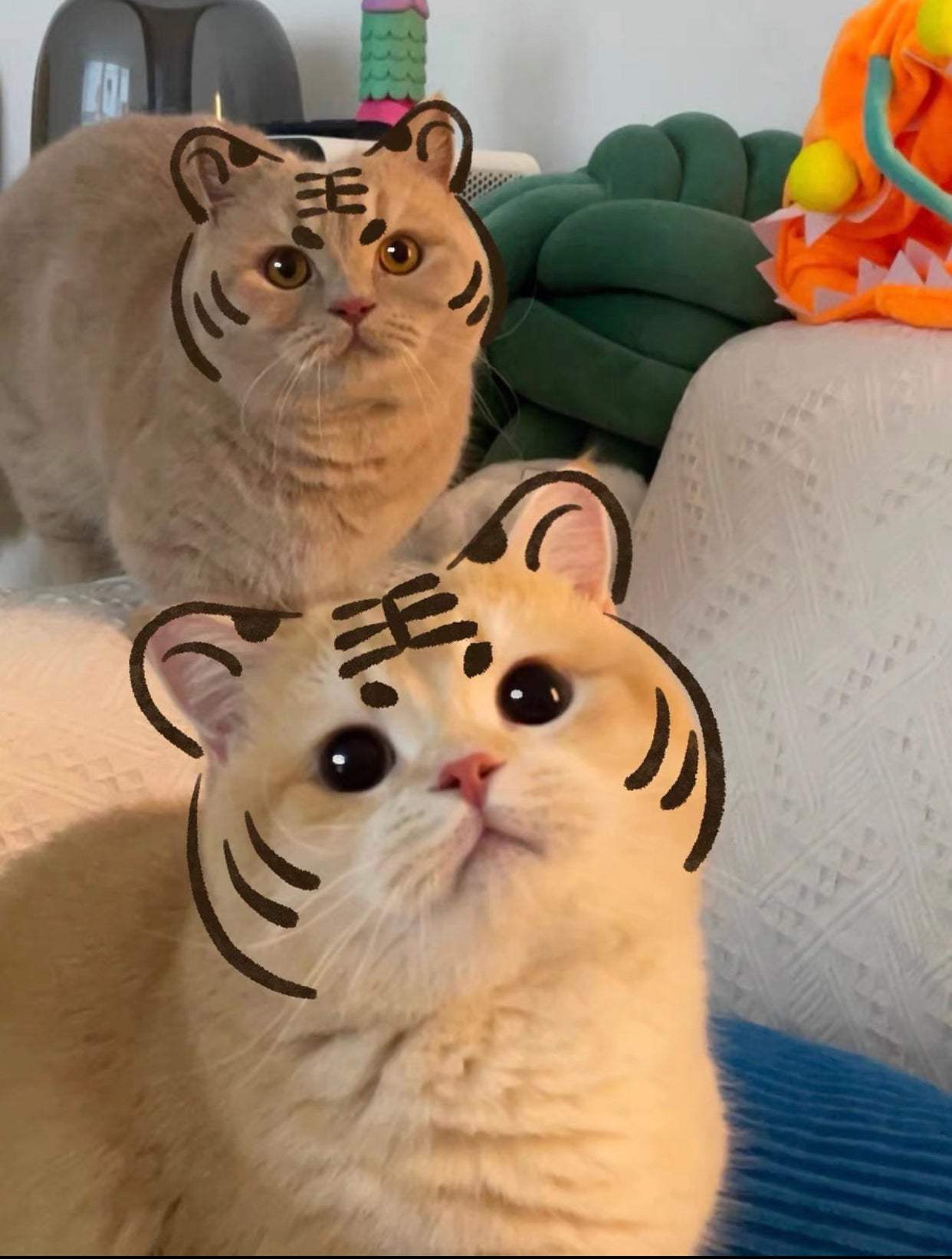 Cat→tiger portrait