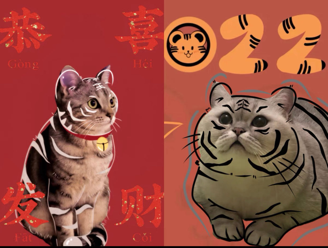Cat→tiger portrait