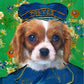Royal pets portraits