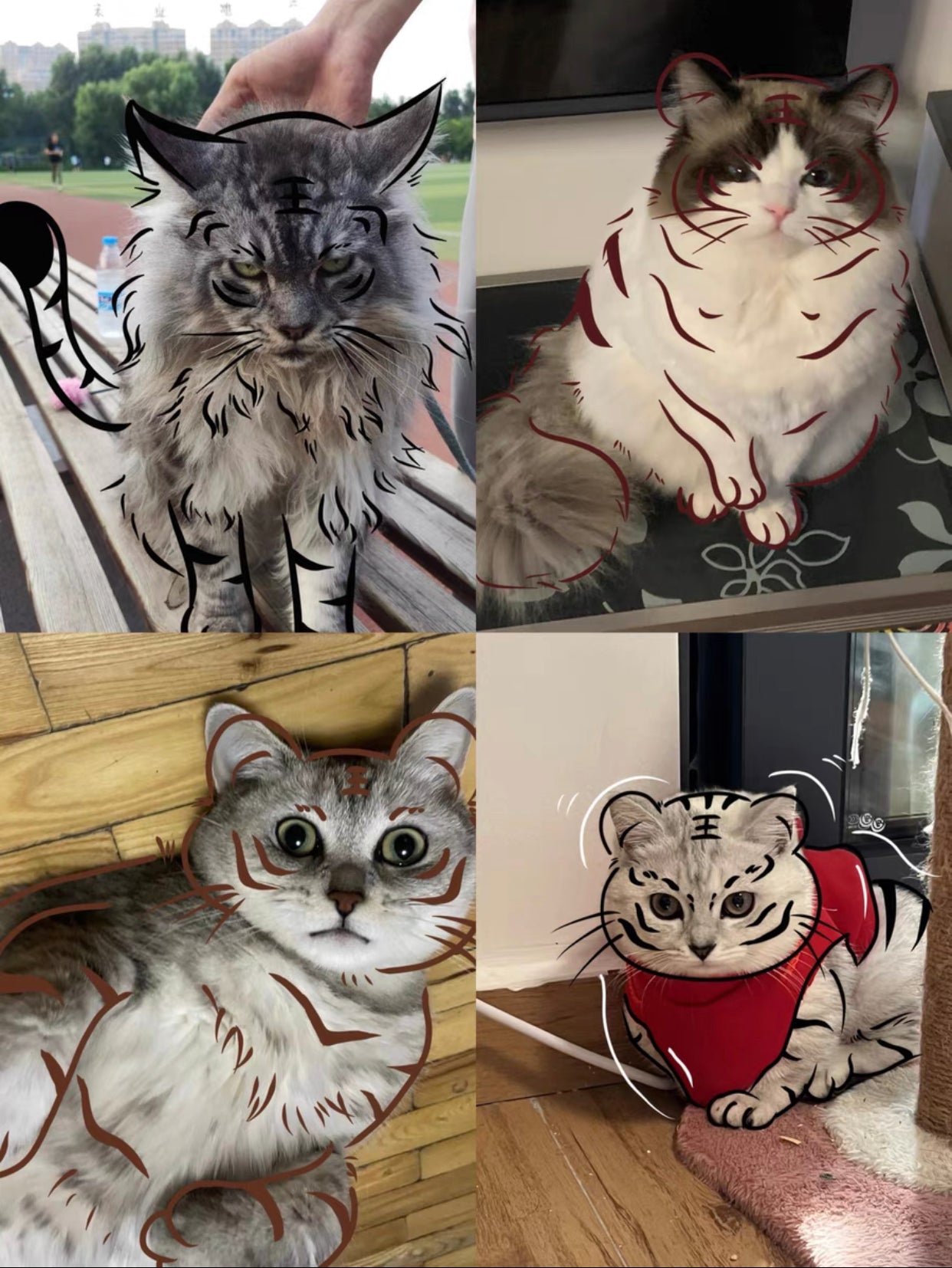 Cat→tiger portrait