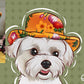 Custom cartoon pet portraits from photo